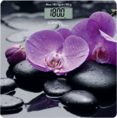 Весы Scarlett SC-BS33E067 орхидеи