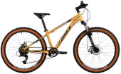 FOXX 24SHD.CAIMAN.12GD5 золотой 173977