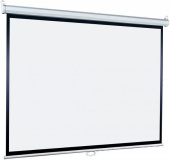 Экран Lumien 180x180см Eco Picture LEP-100108 1:1 настенно-потолочный рулонный