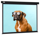 Экран Cactus 183x244см Wallscreen CS-PSW-183X244-BK 4:3 настенно-потолочный рулонный черный