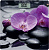 Весы Scarlett SC-BS33E067 орхидеи