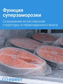Морозильник Indesit DFZ 4150 белый