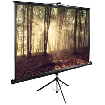 Экран Cactus CS-PSTE-180X135-BK
