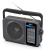 Радиоприемник Ritmix RPR-320 серый Радиоприемник Ritmix RPR-320 серый