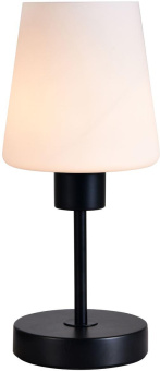 ESCADA 120004/1T E27*60W Black