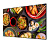 Экран на раме Cactus 114x201см Alr Expert CS-PSALR-201X114 16:9 настенный натяжной