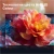 Телевизор HISENSE 85E7S черный Телевизор HISENSE 85E7S черный