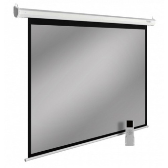 Экран Cactus CS-PSSME-280X175-DG
