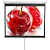 Экран 180x240см Digis Optimal-D DSOD-4304 1:1 настенно-потолочный рулонный