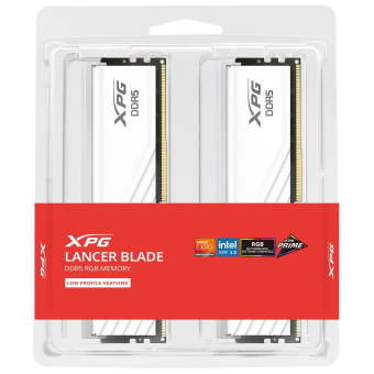Память DDR5 2x16Gb 6400MHz ADATA AX5U6400C3216G-DTLABRWH
