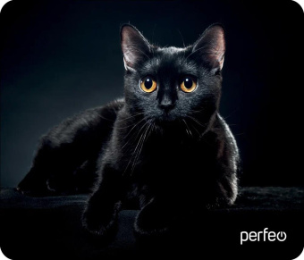 PERFEO (PF_D0665) "Cat"